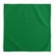 Paño limpiador de 30 x 30 cm. de color verde