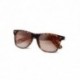 Divertidas gafas de sol con montura translúcida. Color marrón